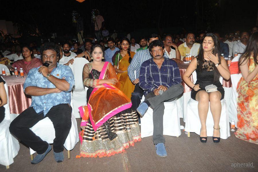 365 Days Audio Launch Photos