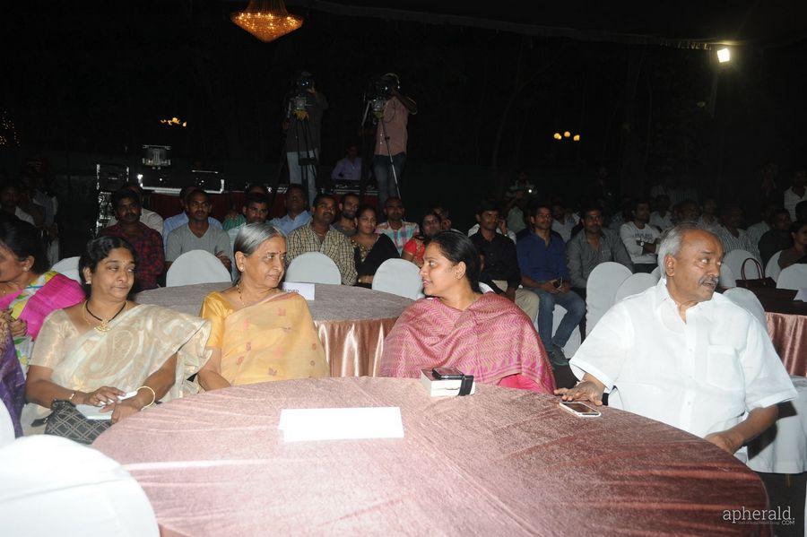 365 Days Audio Launch Photos