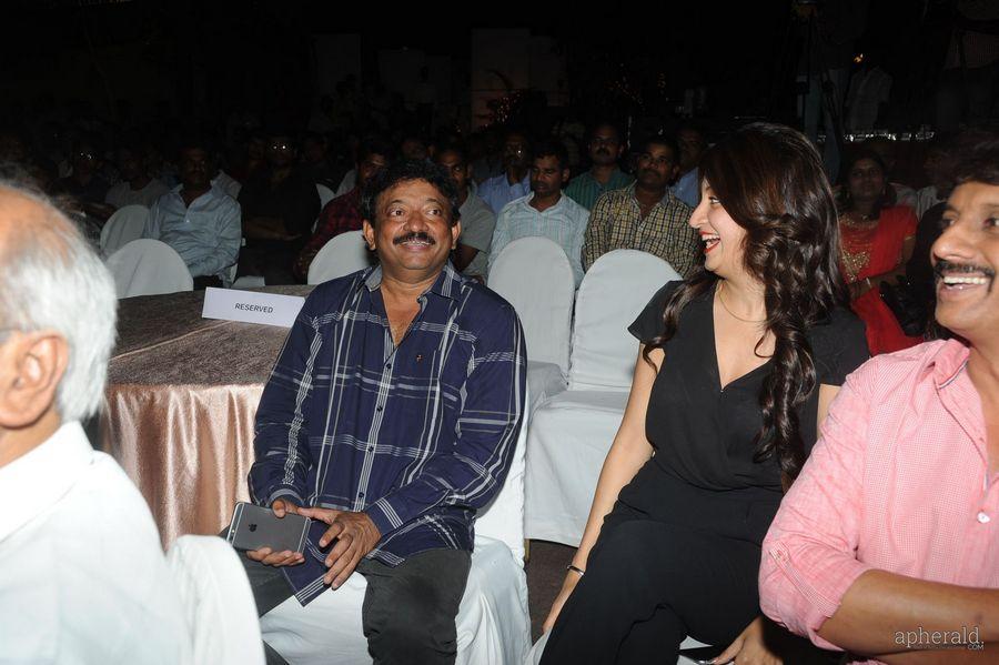 365 Days Audio Launch Photos