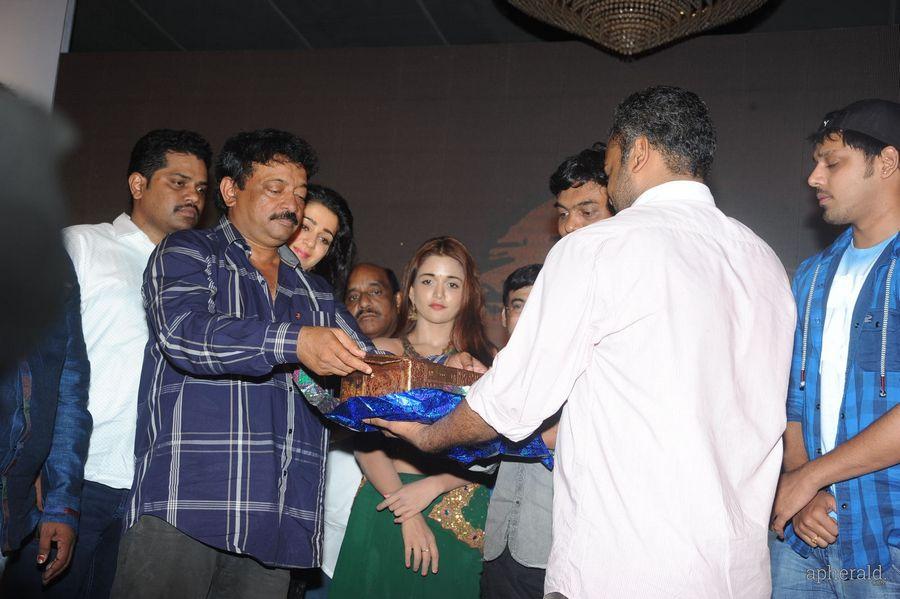 365 Days Audio Launch Photos