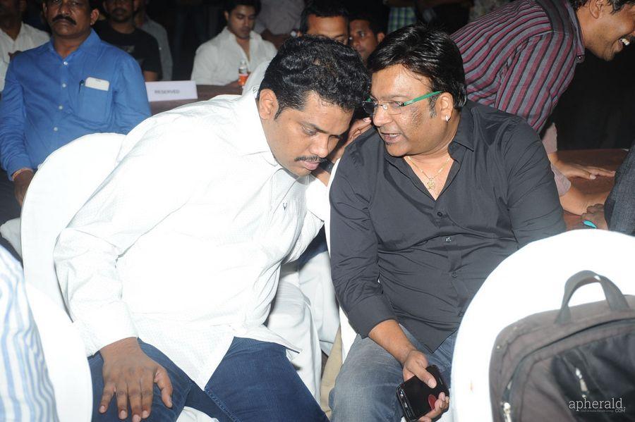 365 Days Audio Launch Photos