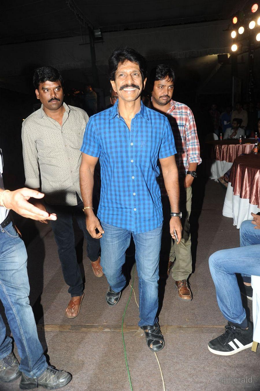 365 Days Audio Launch Photos