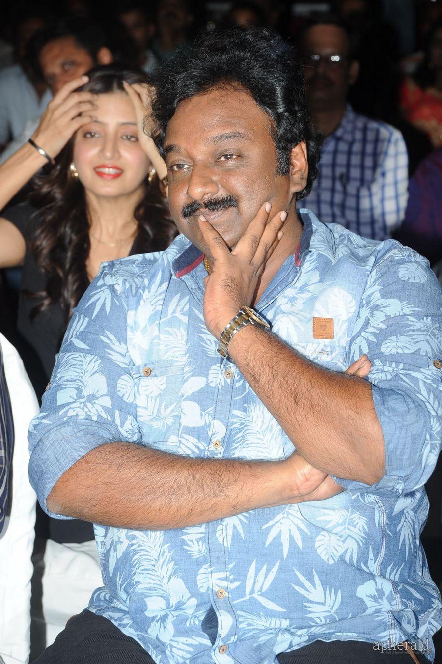 365 Days Audio Launch Photos