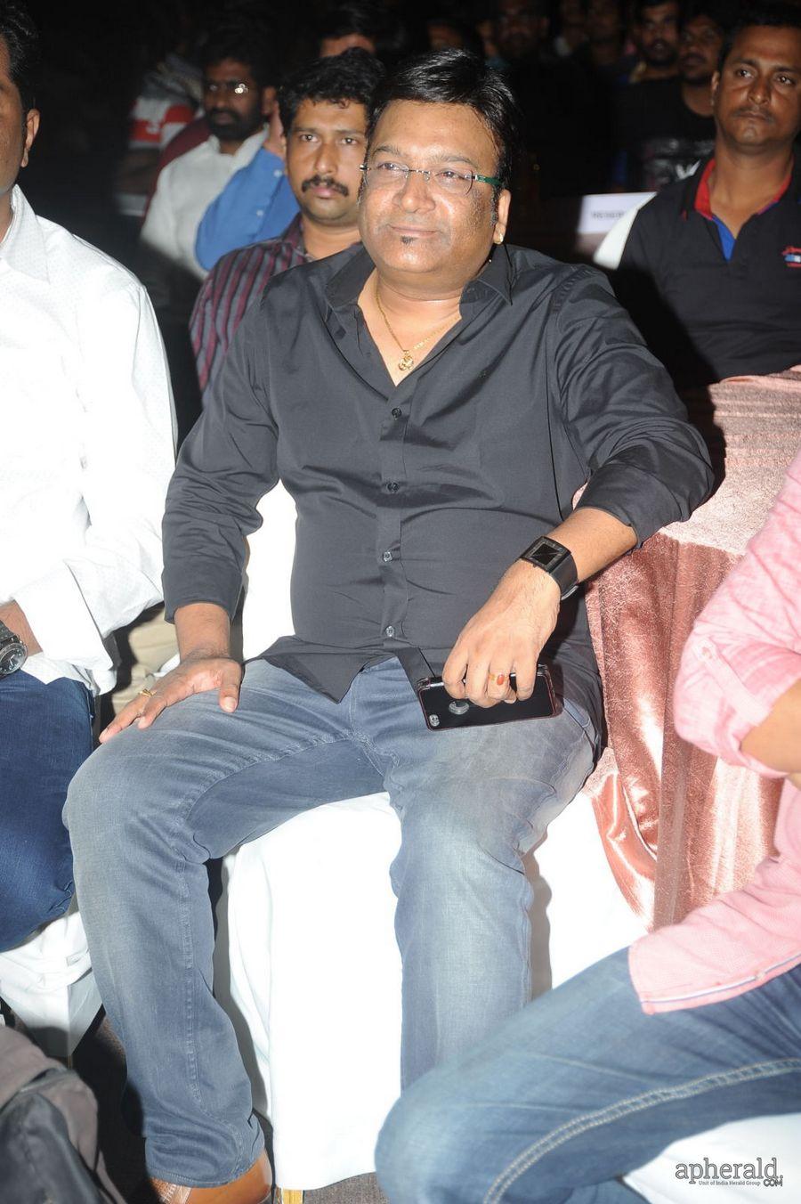 365 Days Audio Launch Photos