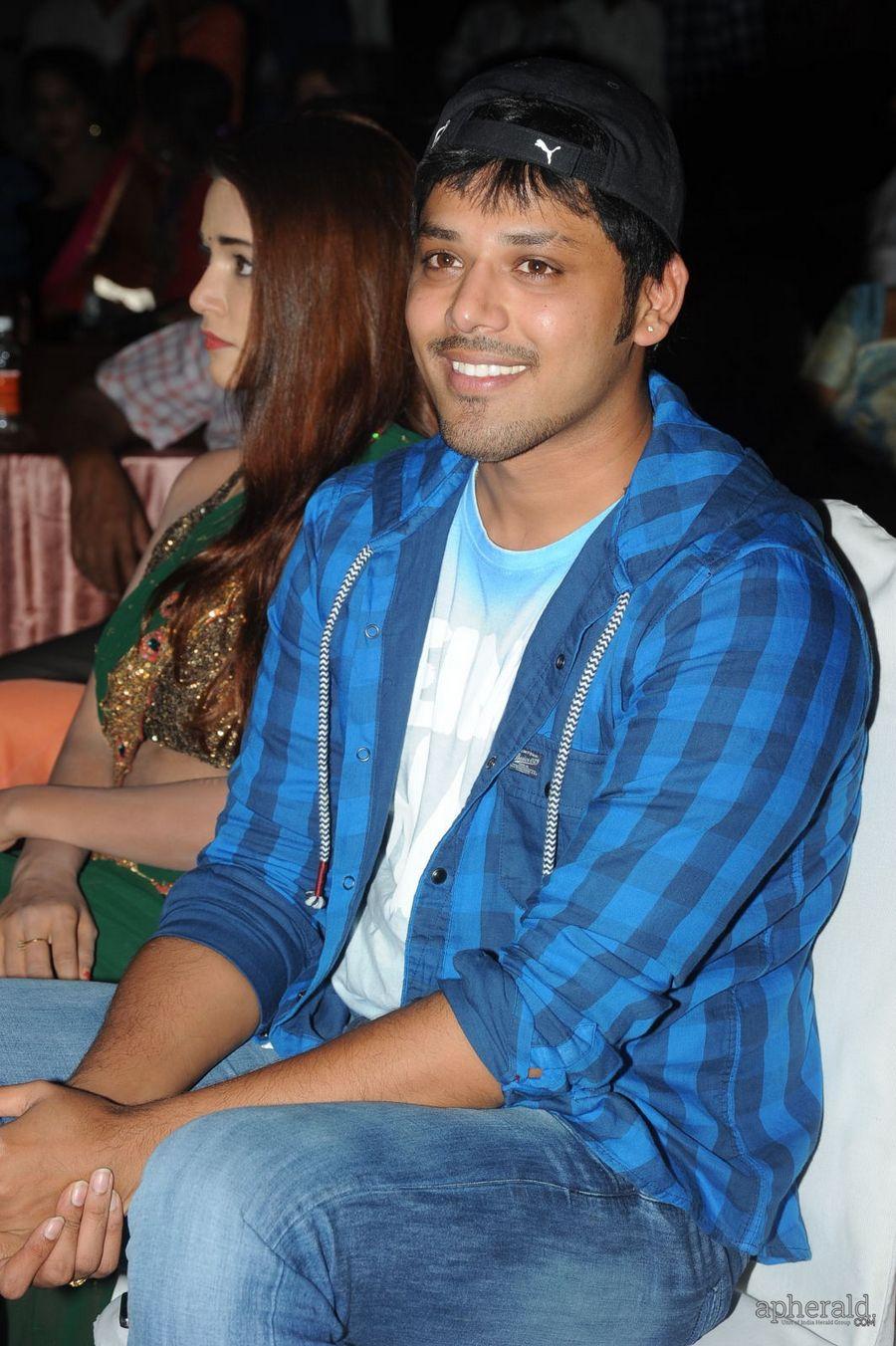 365 Days Audio Launch Photos