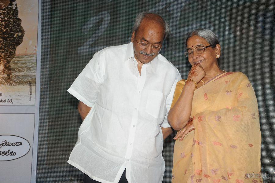 365 Days Audio Launch Photos