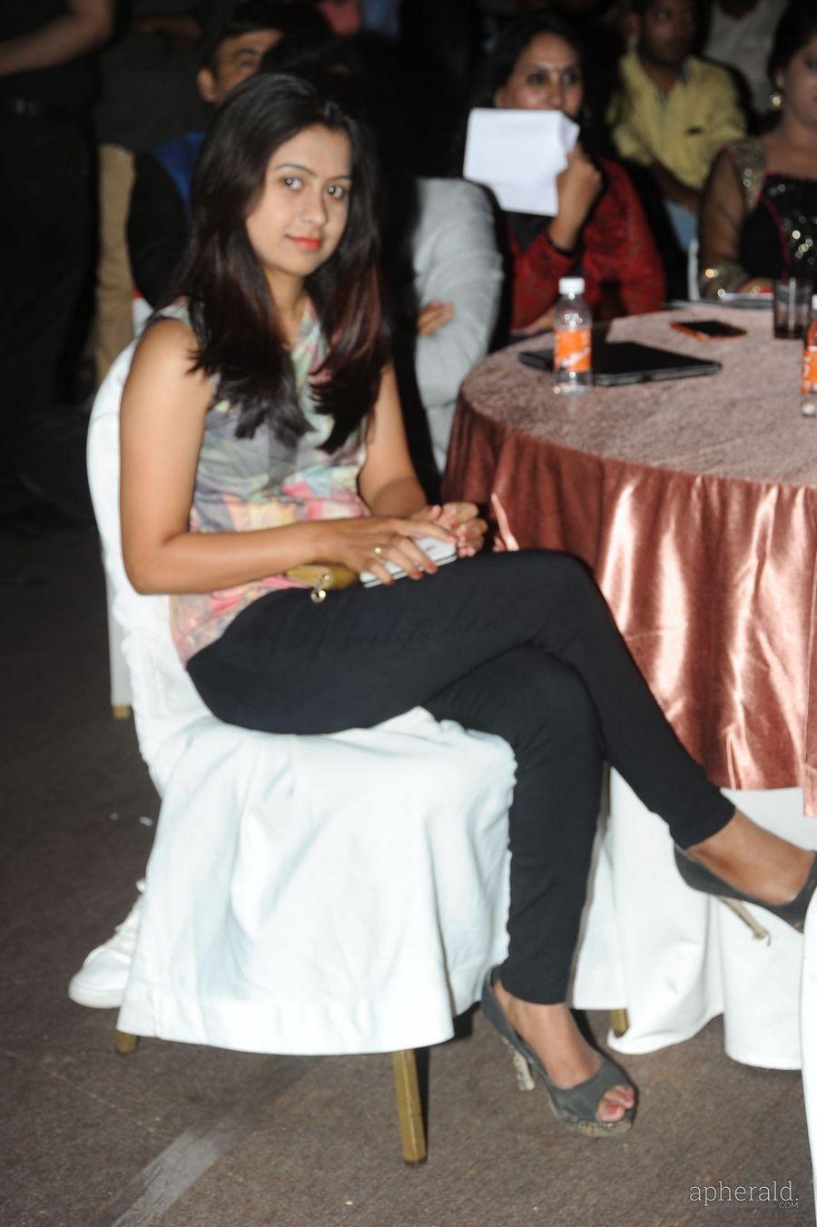 365 Days Audio Launch Photos