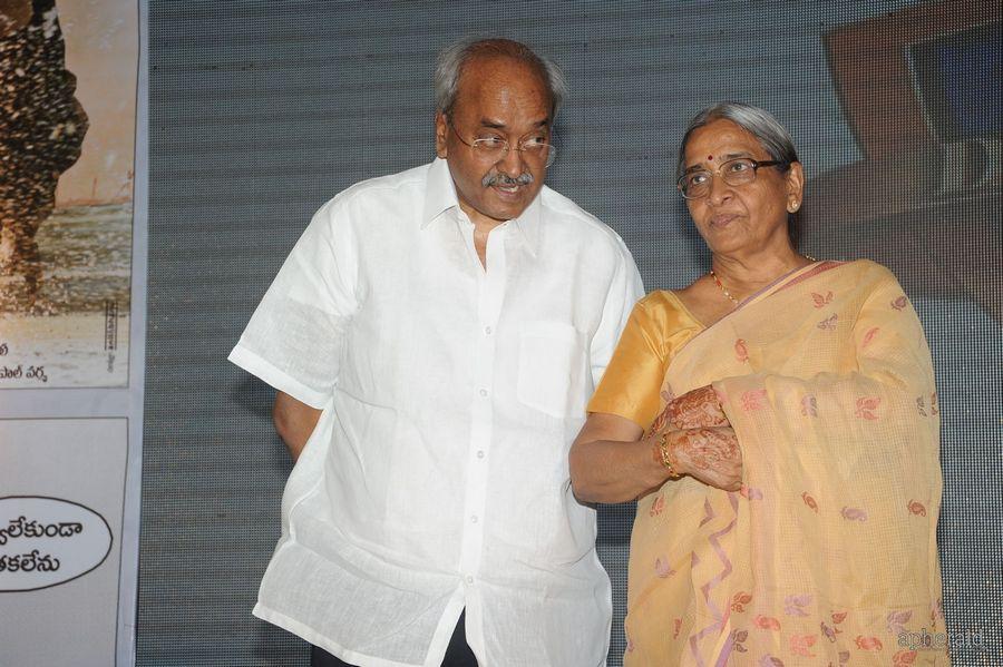 365 Days Audio Launch Photos