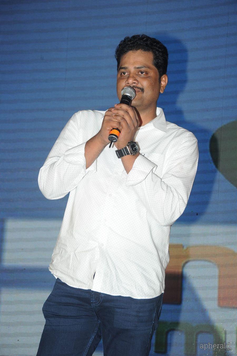 365 Days Audio Launch Photos