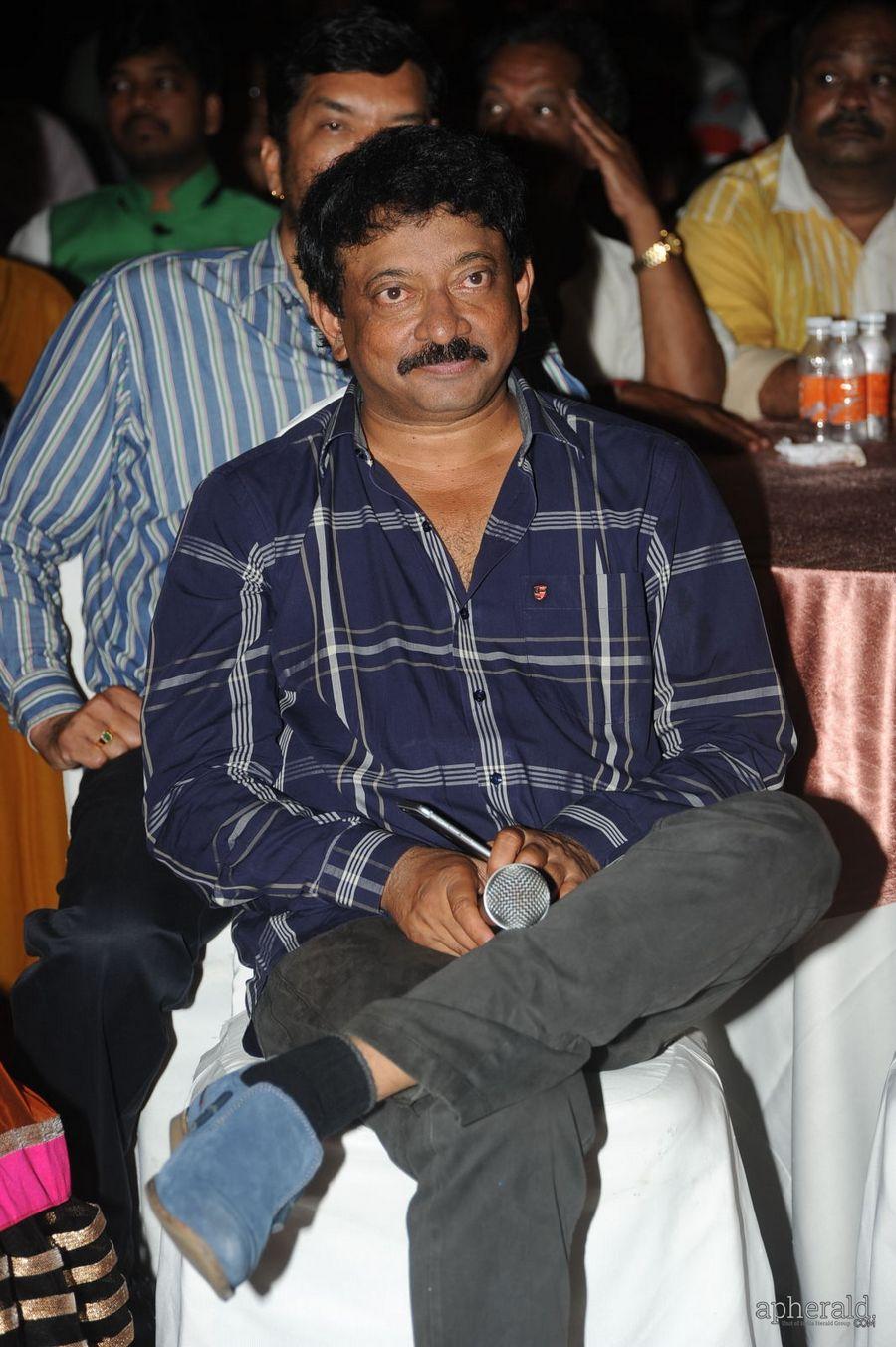 365 Days Audio Launch Photos