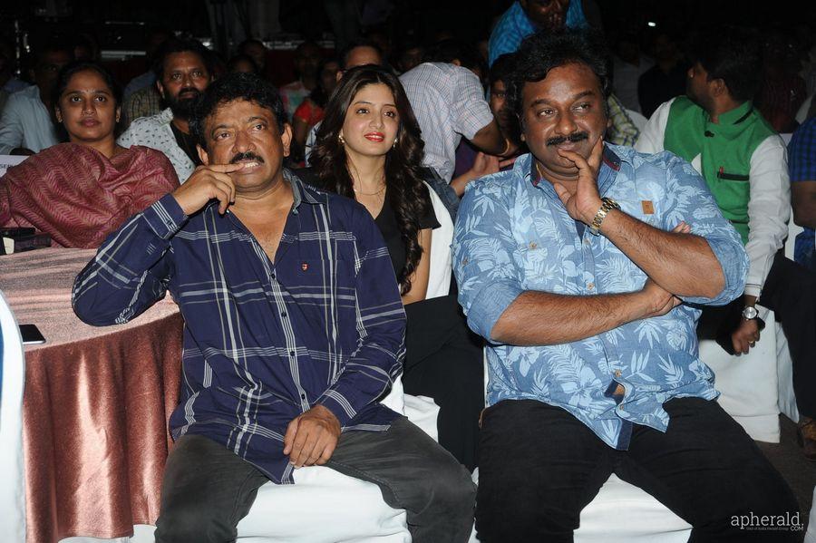 365 Days Audio Launch Photos