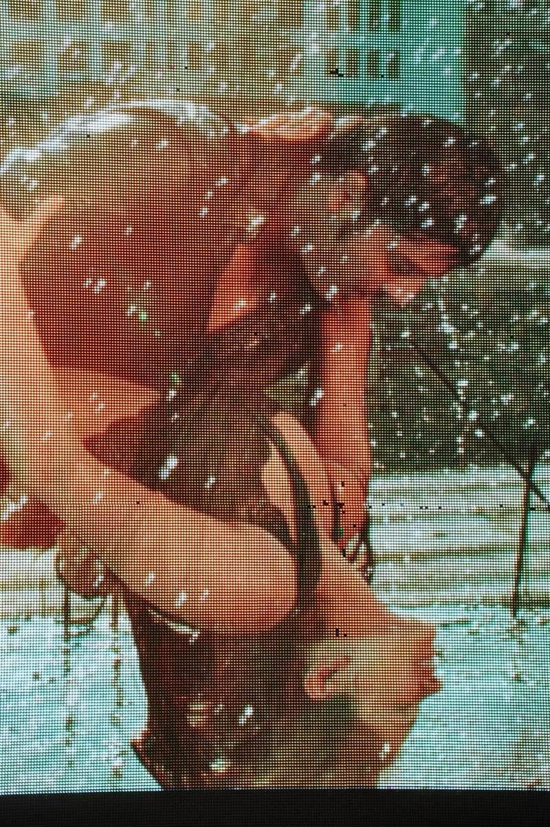 365 Days Movie Trailer Launch Photos