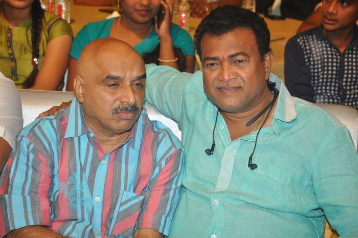 Ammammagarillu Movie Pre Release Function Photos