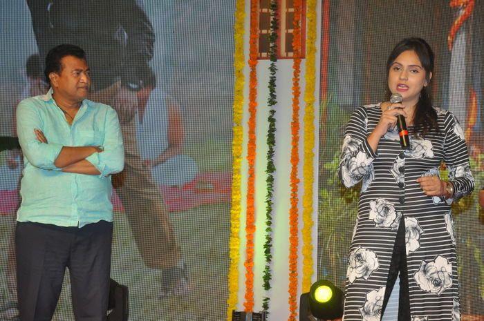 Ammammagarillu Movie Pre Release Function Photos