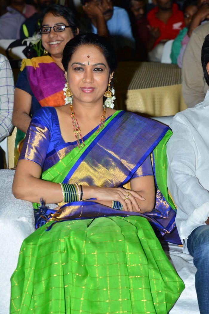 Ammammagarillu Movie Pre Release Function Photos