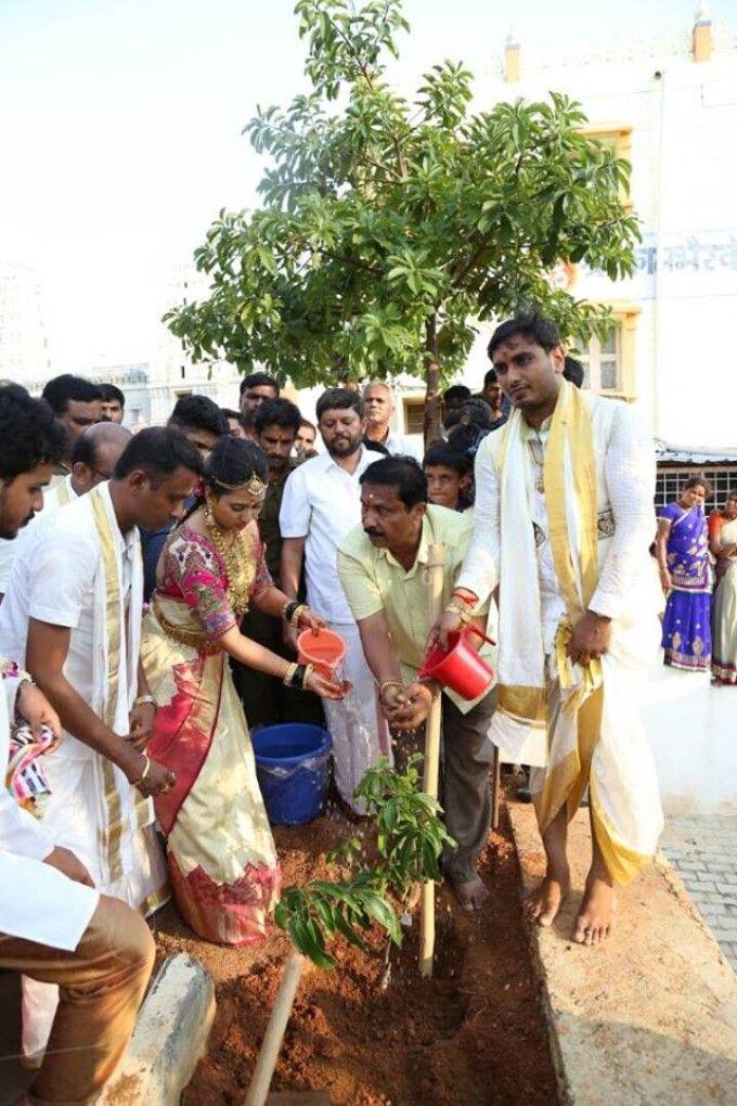 Amulya & Jagadish Wedding Reception Photos