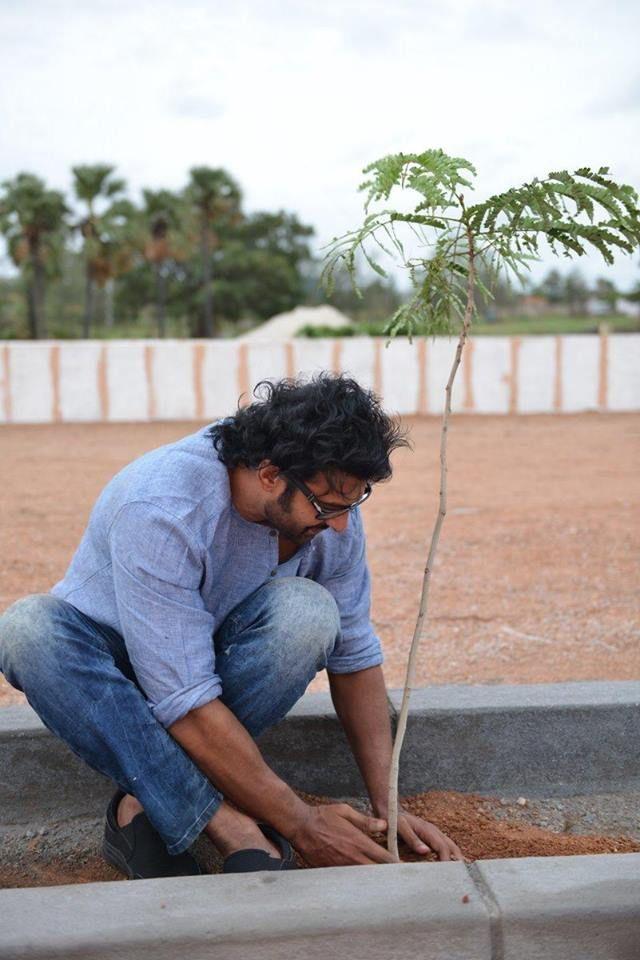 Baahubali Team Participate Haritha Haram Event Photos