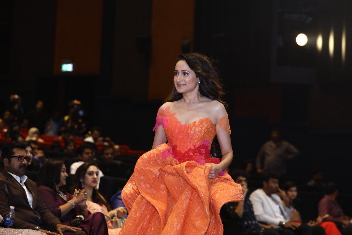 Celebs At SIIMA 2018 Awards Event Photos