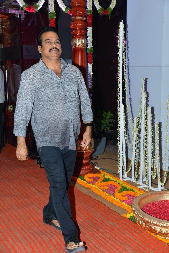 Celebs at Boyapati Sreenu Brother's Daughter Wedding Photos