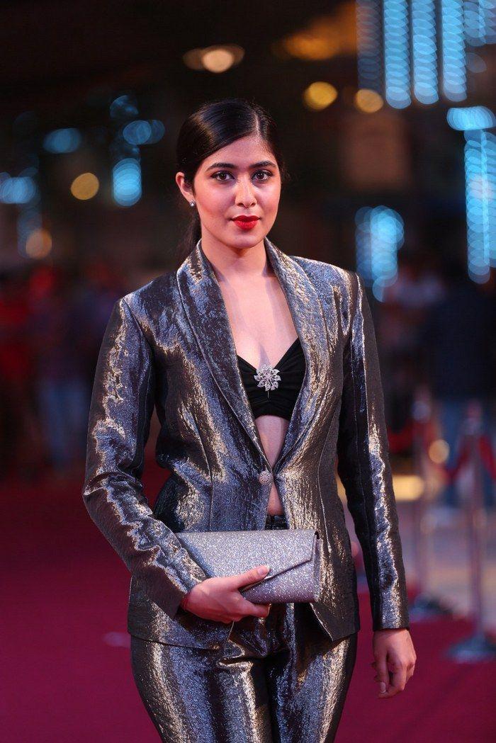 Celebs at SIIMA Awards 2018 Photos