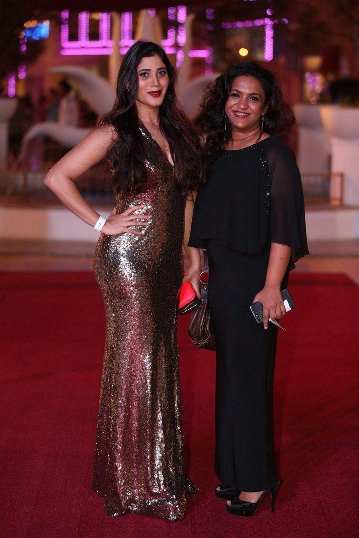 Celebs at SIIMA Awards 2018 Photos