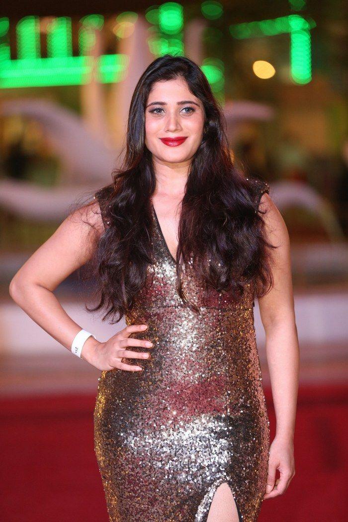 Celebs at SIIMA Awards 2018 Photos