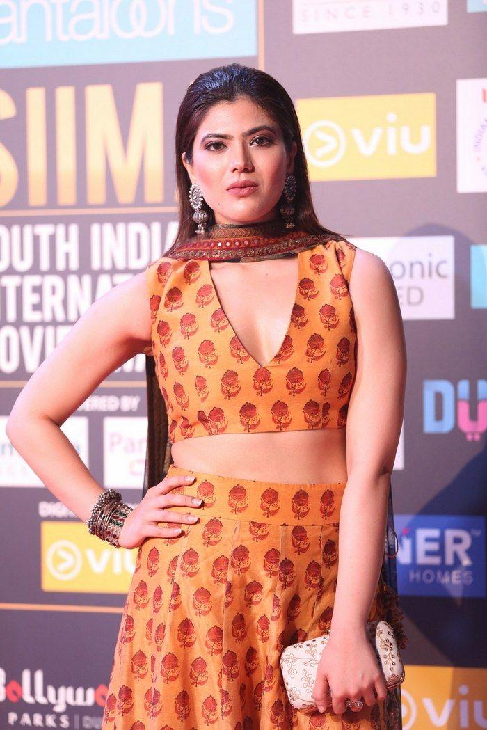 Celebs at SIIMA Awards 2018 Photos