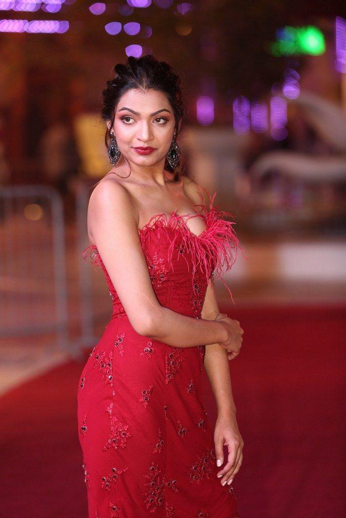 Celebs at SIIMA Awards 2018 Photos