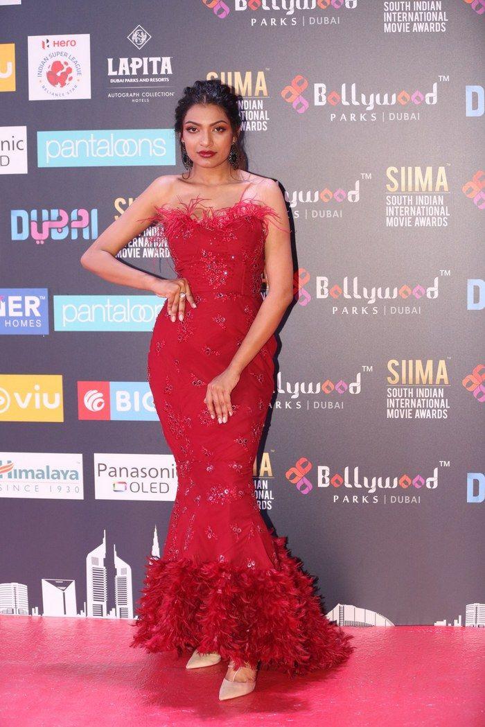 Celebs at SIIMA Awards 2018 Photos