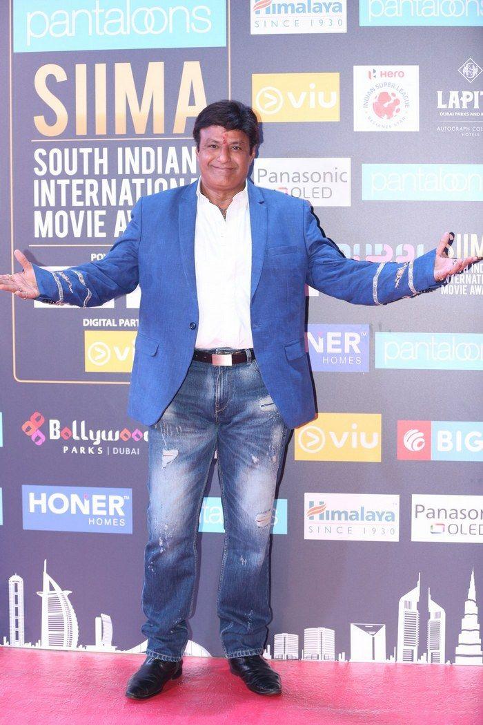 Celebs at SIIMA Awards 2018 Photos