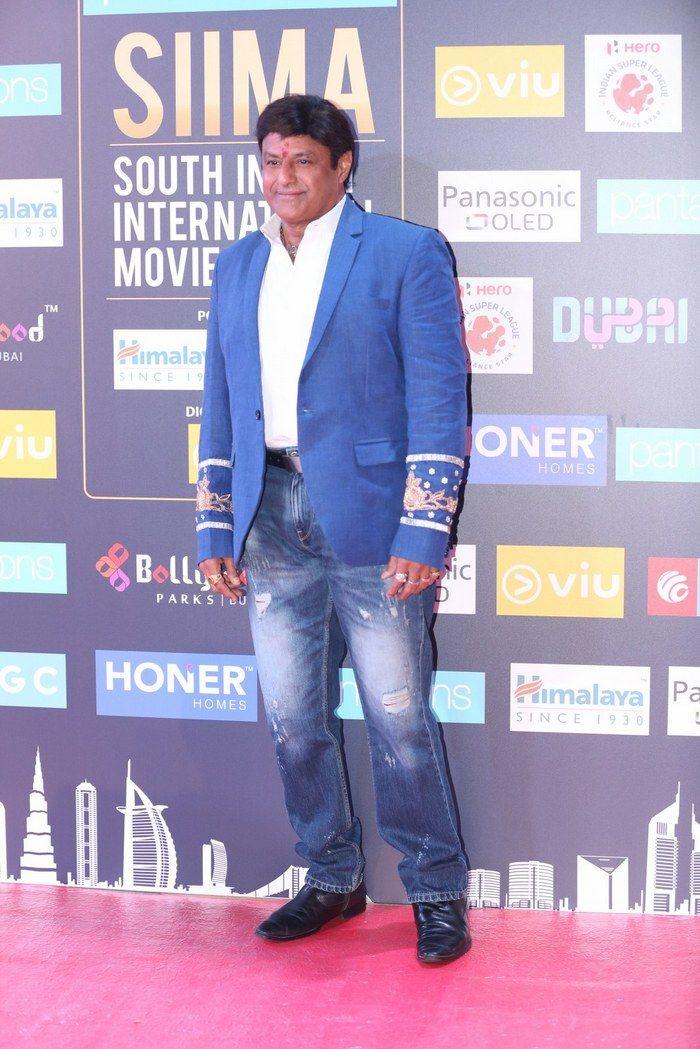 Celebs at SIIMA Awards 2018 Photos