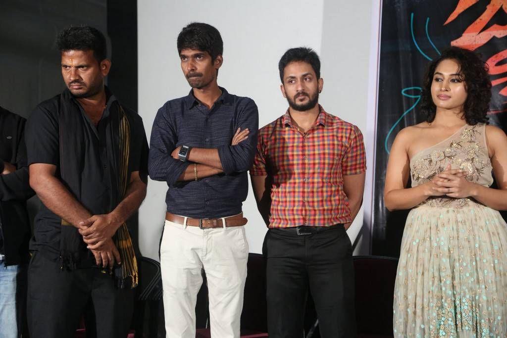 Devi Sri Prasad Movie Audio Launch Photos