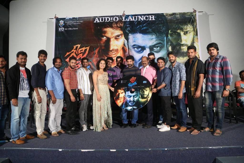 Devi Sri Prasad Movie Audio Launch Photos