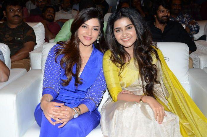 Dil Raju's SVC Success Celebrations Photos