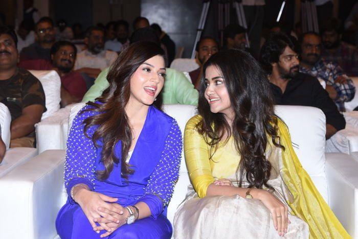 Dil Raju's SVC Success Celebrations Photos