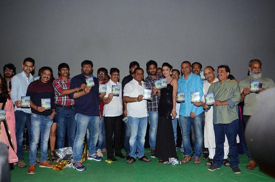 Dr.Chakravarthy Audio Launch Pics