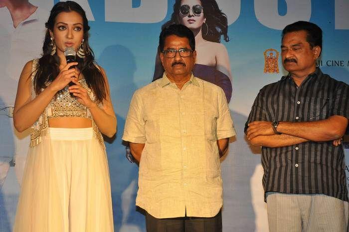 Gautam Nanda Movie Success Meet Photos