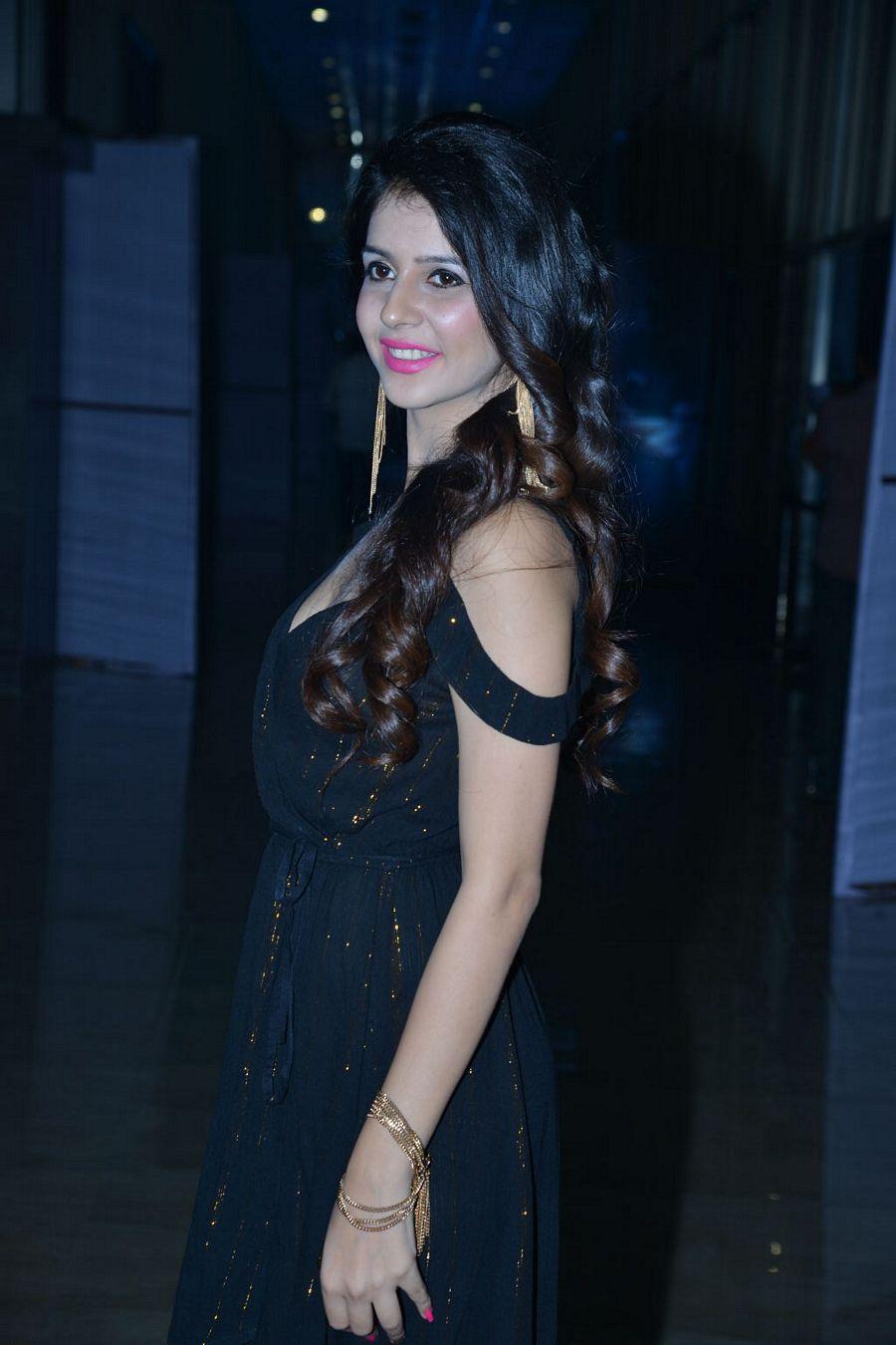 Ishan Rogue Movie Audio Launch Photos