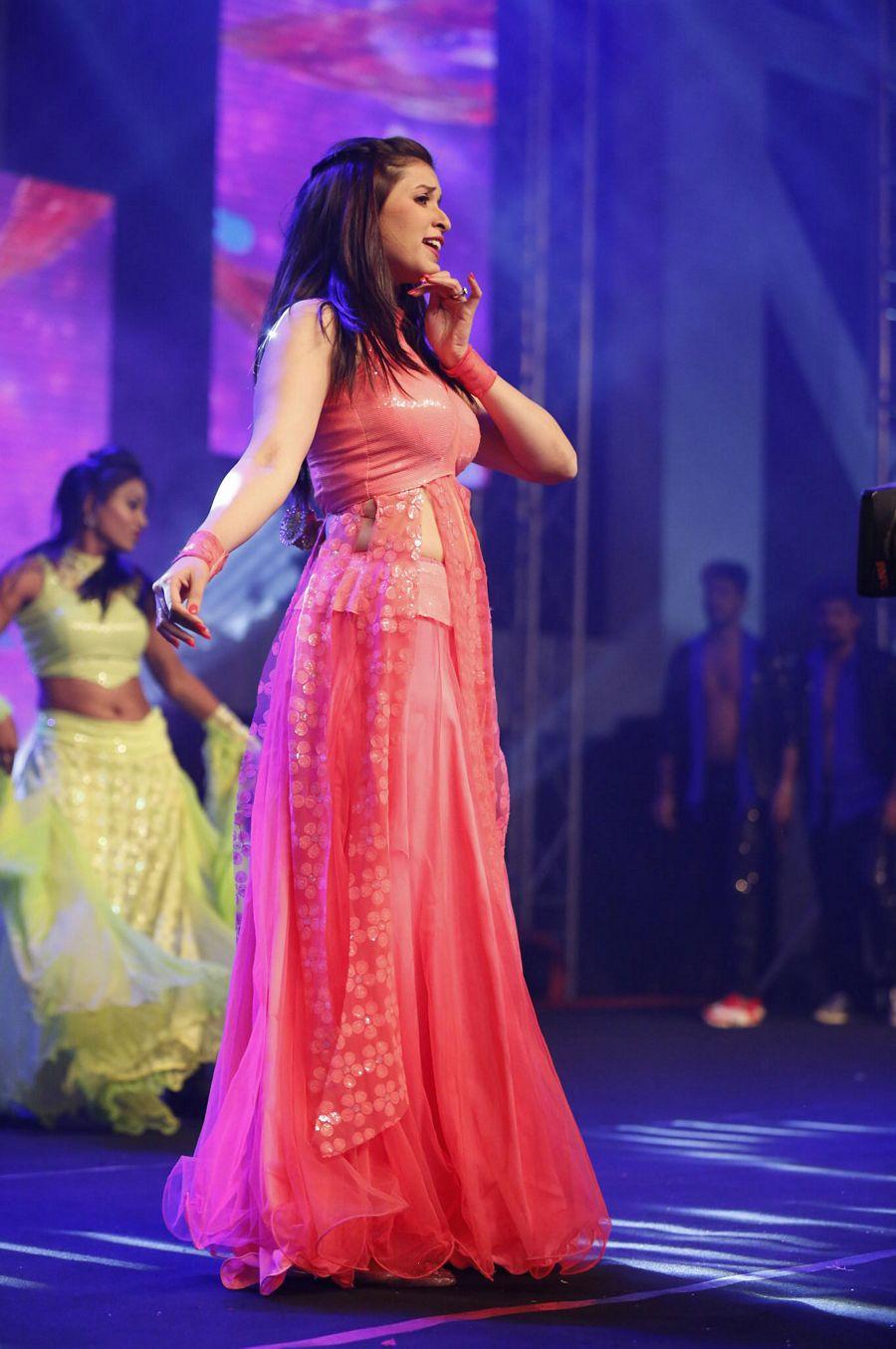 Ishan Rogue Movie Audio Launch Photos