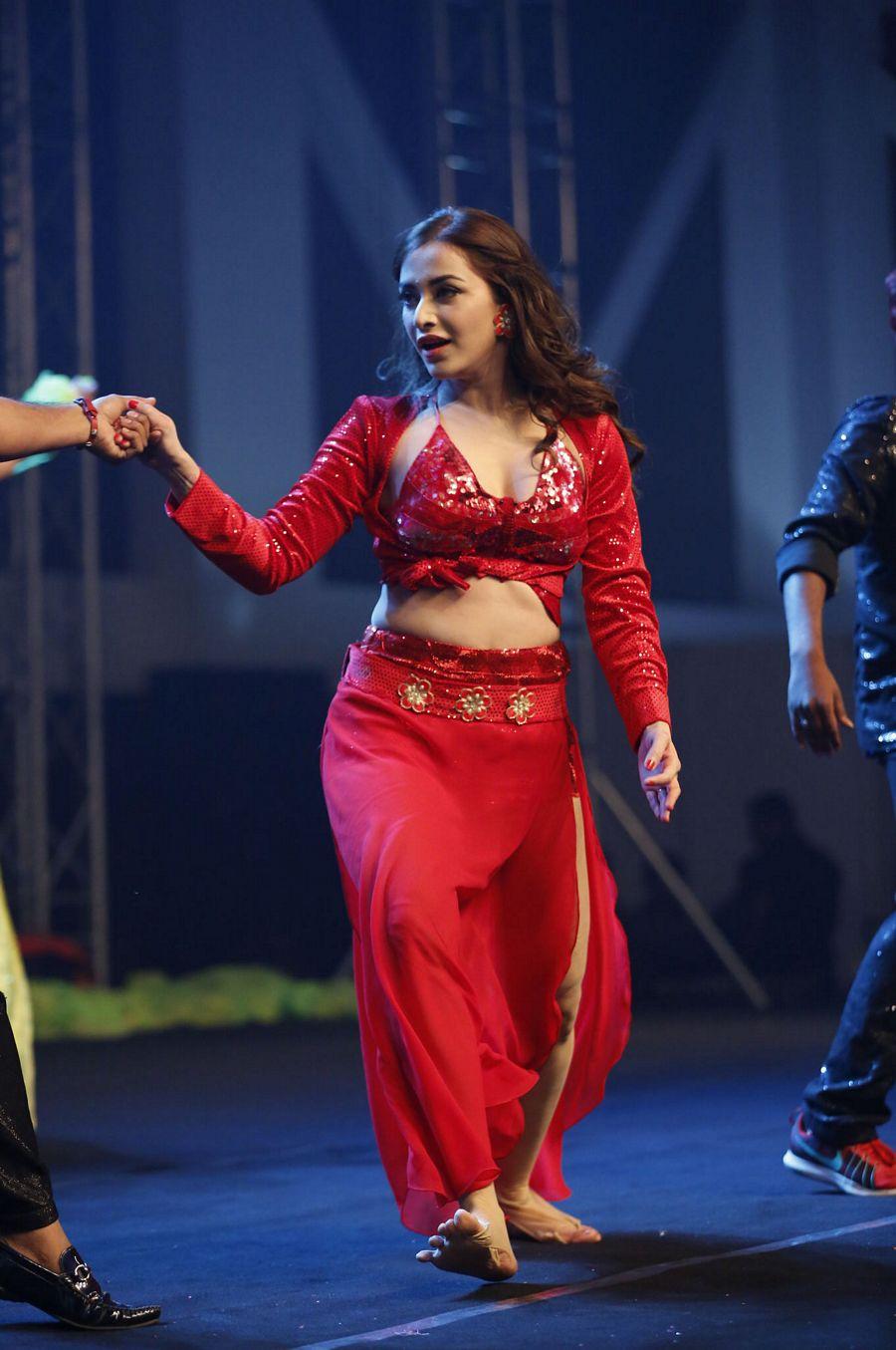 Ishan Rogue Movie Audio Launch Photos