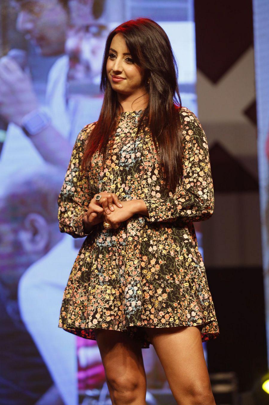 Ishan Rogue Movie Audio Launch Photos