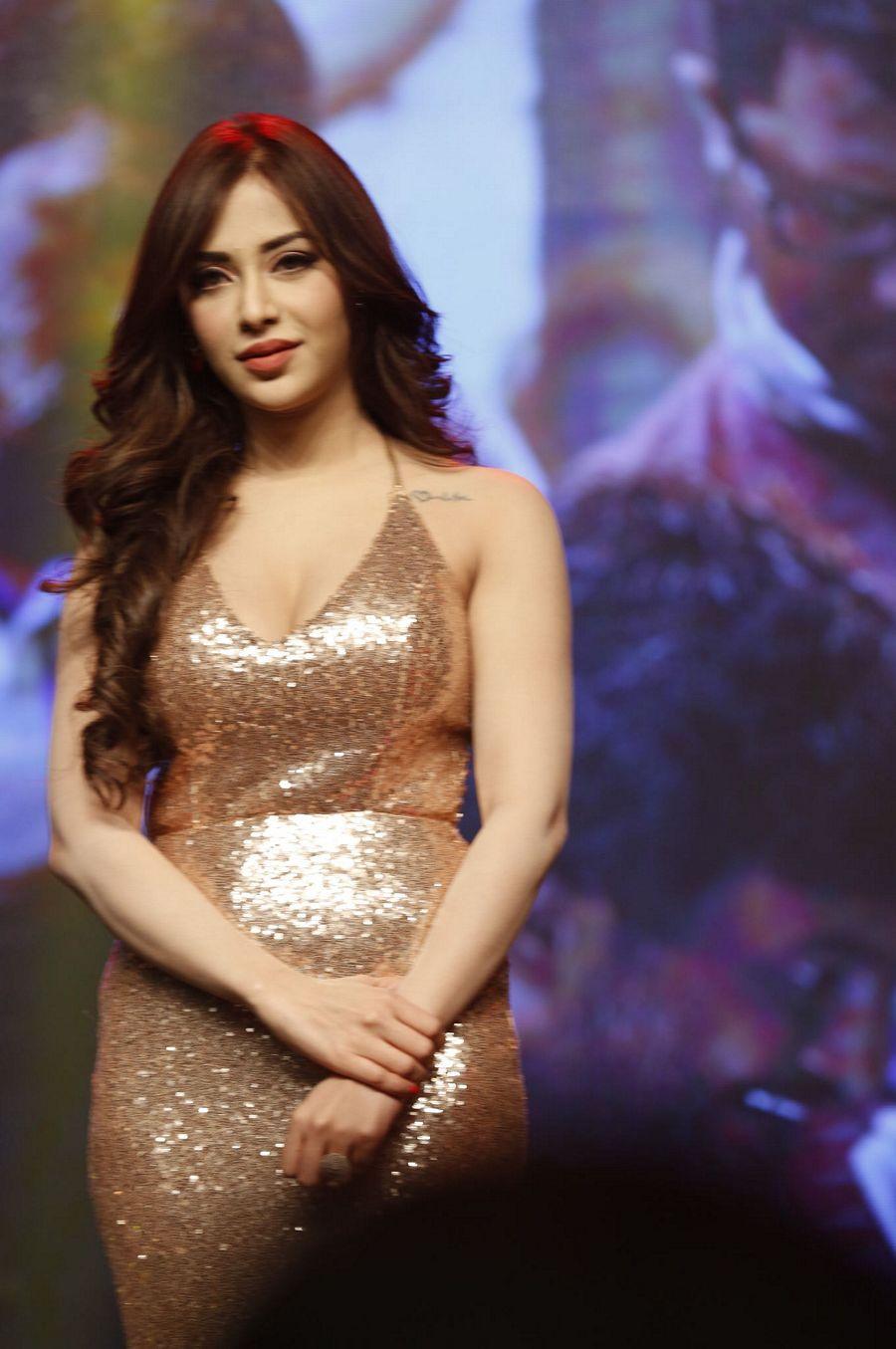 Ishan Rogue Movie Audio Launch Photos