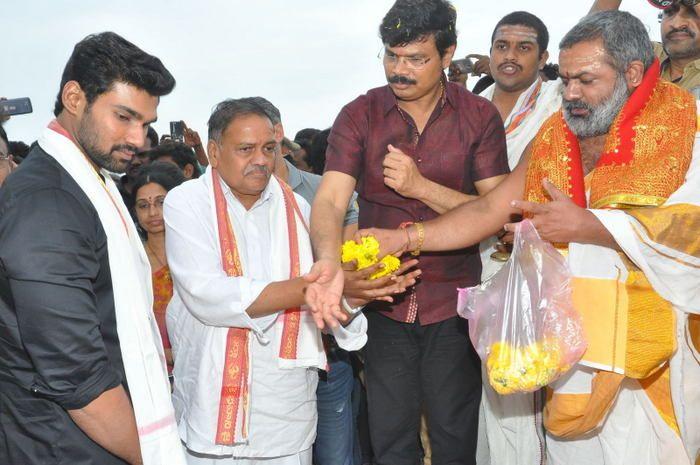 Jaya Janaki Nayaka Vijayotsava Veduka At Hamsala Deevi Photos