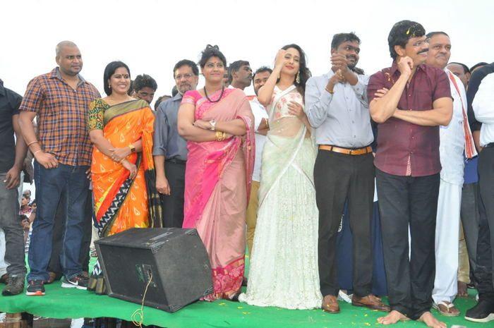 Jaya Janaki Nayaka Vijayotsava Veduka At Hamsala Deevi Photos