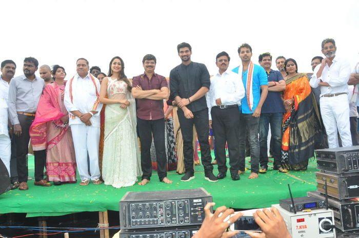 Jaya Janaki Nayaka Vijayotsava Veduka At Hamsala Deevi Photos