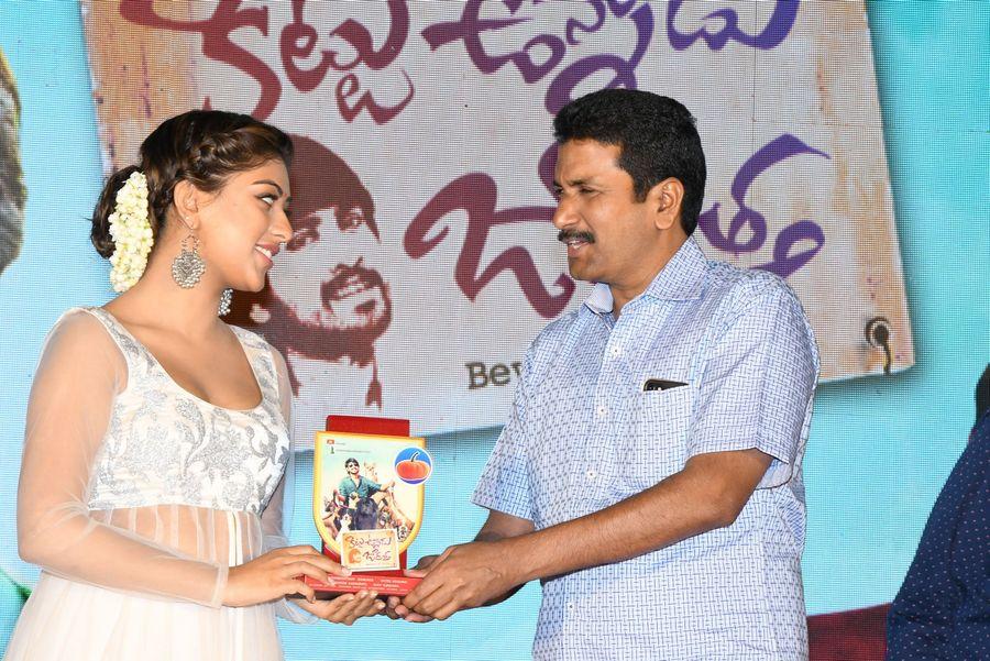 Kittu Unnadu Jagratha Gummadikaya Function Photos