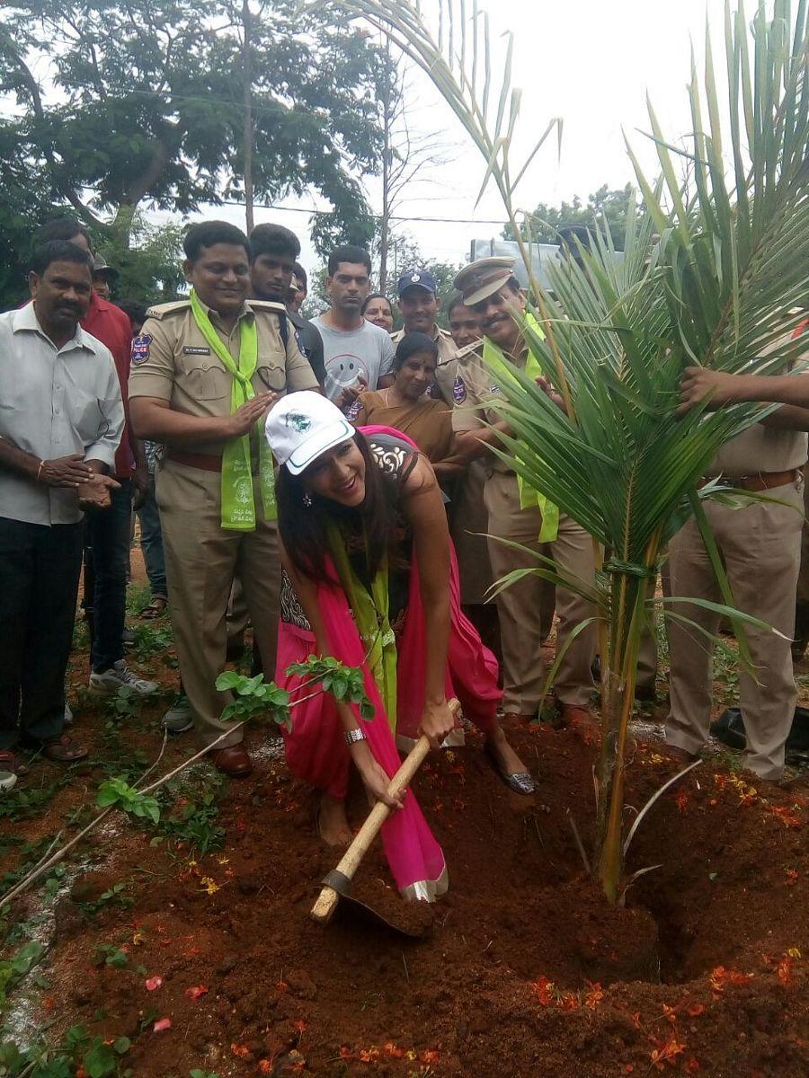 Manchu Lakshmi Participated Photos In Haritha Haram