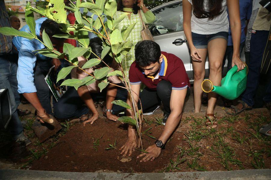 Marala Telupana Priya Team Participates Haritha Haram Photos