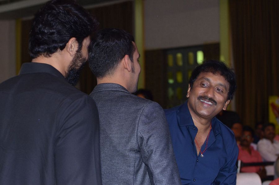 Mister Movie Pre Release Function Photos