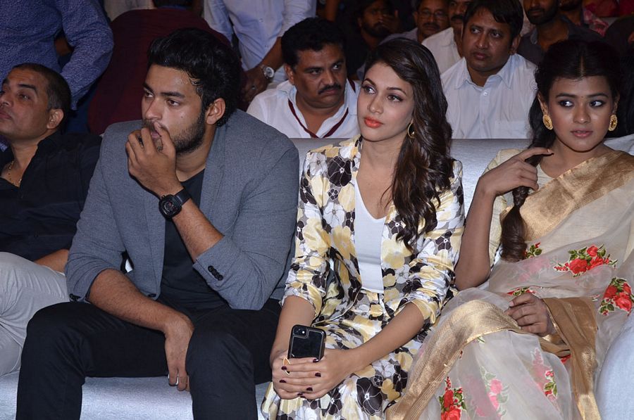 Mister Movie Pre Release Function Pictures